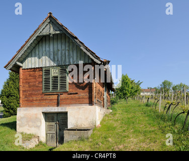 Maison vigneronne sur csaterberg mountain, kohfidisch, Burgenland, Autriche, Europe Banque D'Images