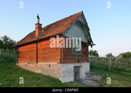 Maison vigneronne sur csaterberg mountain, kohfidisch, Burgenland, Autriche, Europe Banque D'Images