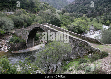 Le pont génois de 200 ans dans les gorges de Spelunca Porto Ota Corse France Europe Banque D'Images