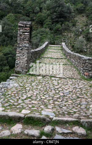 Gorges de Spelunca Porto Ota Corse France Europe Banque D'Images