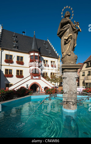 Hôtel de ville et fontaine en Marktplatz, place du marché, Volkach, en Basse-franconie, Franconia, Germany, Europe Banque D'Images