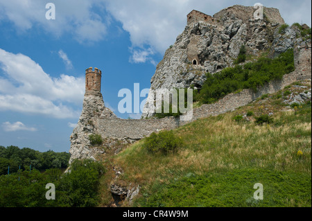 Le Château de Devin, Bratislava, Slovaquie, Europe Banque D'Images