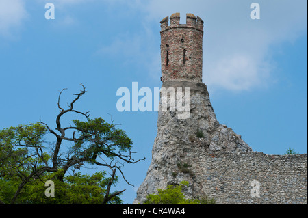 Le Château de Devin, Bratislava, Slovaquie, Europe, PublicGround Banque D'Images