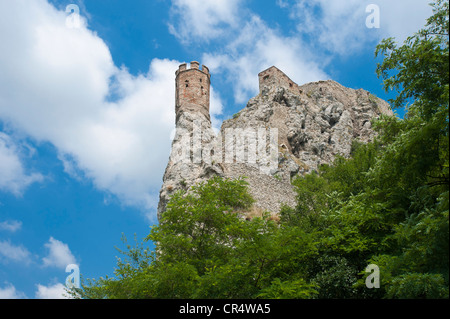 Le Château de Devin, Bratislava, Slovaquie, Europe, PublicGround Banque D'Images