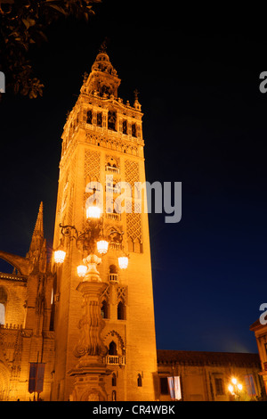 Détail de la Tour Giralda. La Cathédrale de Séville de nuit. Banque D'Images
