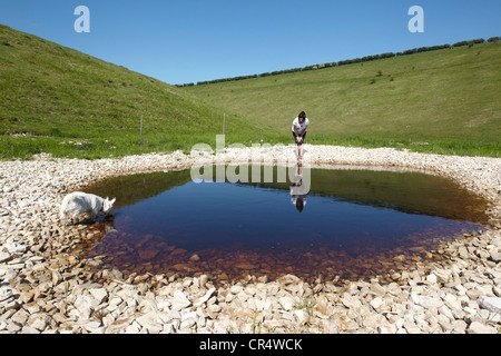 Walker et le chien à l'un de dix sculptures extérieures appelées vagues et temps créé par Chris Drury, Thixendale, East Yorkshire, UK Banque D'Images