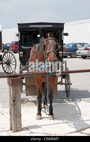 Buggies près de Shipshewana Amish de l'Indiana, USA Banque D'Images