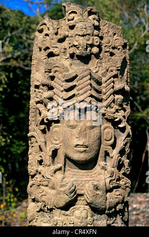 Le Honduras, site maya de Copan, UNESCO World Heritage, stèle Banque D'Images