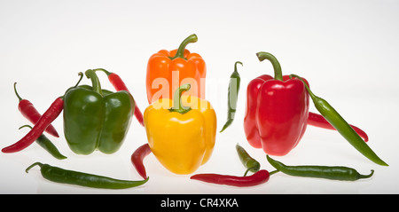 Paprika colorés Poivrons et piments, vert, orange, jaune, rouge, photographie Banque D'Images