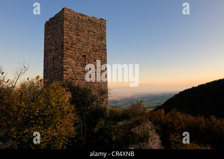 La France, Haut Rhin, les trois donjons d'Eguisheim dans le massif des Vosges Banque D'Images