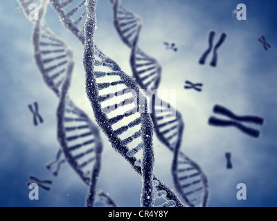 Les molécules en double hélice de l'ADN et de chromosomes Banque D'Images