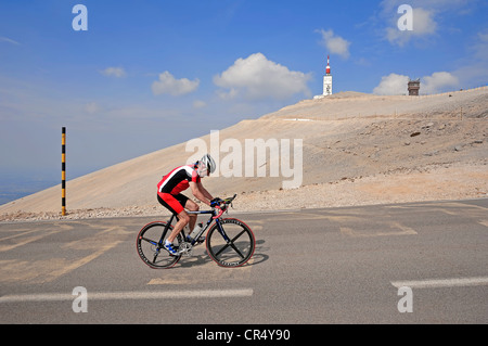 Course cycliste sur la route jusqu'au sommet du Mont Ventoux, Vaucluse, Provence-Alpes-Cote d'Azur, dans le sud de la France, France, Europe Banque D'Images