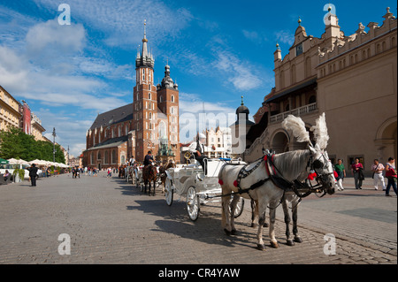 Voiture à cheval en face de l'église de la Vierge Marie, la place du marché Rynek, Cracovie, Pologne, Europe, Malopolska Banque D'Images