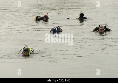 Les plongeurs plongée Aqua marine breaking surface de l'eau et à l'entrée en face de lac d'eau douce à l'image d'un pack de phoques dans l'eau Banque D'Images