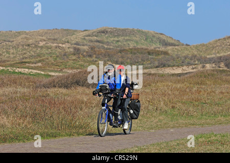 Couple riding un tandem avec un schnauzer nain dans un panier, Castricum, Hollande du Nord, Hollande, Pays-Bas, Europe Banque D'Images