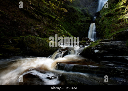 Pistyll Rhaeadr cascade, la plus haute cascade au Pays de Galles situé dans la montagnes Berwyn Banque D'Images