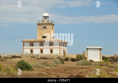 Le phare sur l'île de Tabarca, province d'Alicante, Costa Blanca, Espagne, Europe Banque D'Images