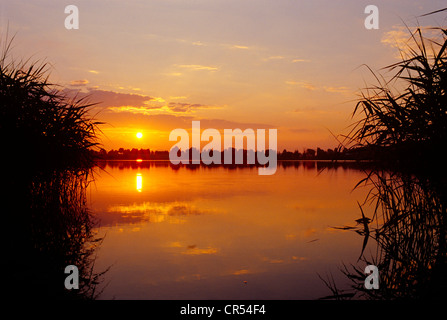 Coucher de soleil sur le Lac de Mazurie en Pologne. Kolmowo Sonnenuntergang über dem Kolmowo dans Masuren Voir. Banque D'Images