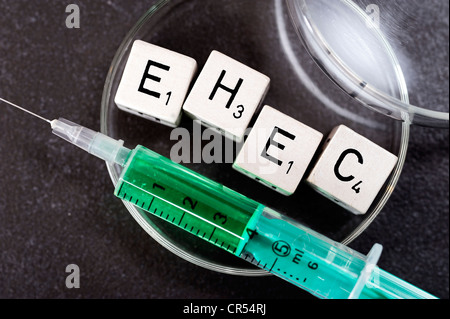 EHEC lettrage dans une boîte de pétri et seringue, image symbolique de EHEC pathogènes Banque D'Images