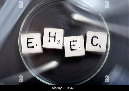 EHEC lettrage dans une boîte de pétri, image symbolique de EHEC pathogènes Banque D'Images
