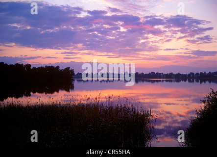 Lumière du soir sur le Lac de Mazurie en Pologne. Kolmowo Abendlicht über dem Kolmowo dans Masuren Voir. Banque D'Images