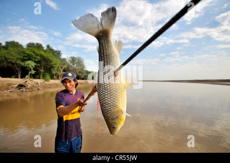 Jeune homme de la tribu des Indiens Wichi indigènes pêcher avec une lance dans le fleuve Pilcomayo, La Curvita Indigena community Banque D'Images