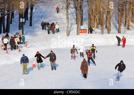 Canada, Québec, Montréal, Parc du mont Royal, (lac aux Castors les castors' Lake), patinoire naturelle, les patineurs Banque D'Images