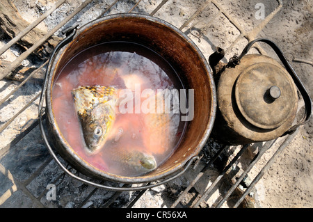 Préparation de la soupe de poisson sur un feu ouvert, communauté autochtone de la Curvita, dans la langue de l'Indiens Wichí : Hothaj Banque D'Images