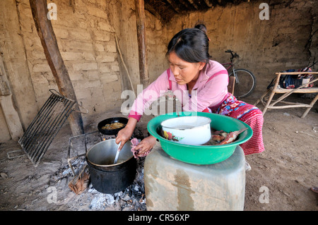 Femme, 31 ans, la préparation de repas dans une cuisine simple, communauté autochtone de la Curvita, dans la langue de l'Indiens Wichí : Banque D'Images