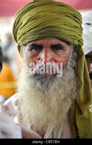 Un homme âgé avec une longue barbe blanche, portrait, Muzaffaragarh, Punjab, Pakistan, Asie Banque D'Images