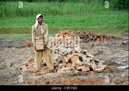 Homme portant des briques, Lehar Basti Walla village, Punjab, Pakistan, Asie Banque D'Images