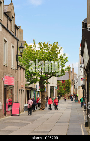 Scène dans la rue principale piétonne avec le grand arbre et le peuple de shopping dans la rue Albert Kirkwall Orkney Islands Scotland UK Banque D'Images