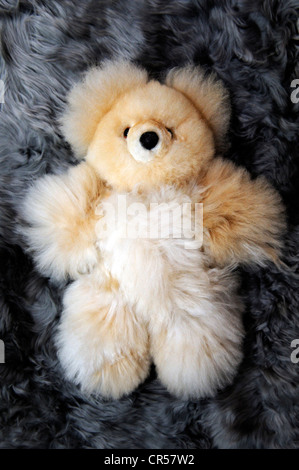 Ours en peluche, de la production de peluches et tapis de fourrure d'alpaga dans une petite entreprise familiale, Pachamac, Lima, Pérou, Amérique du Sud Banque D'Images