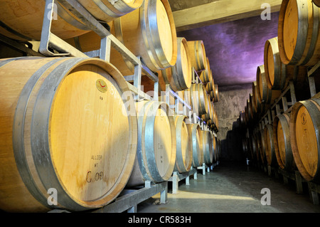 Fûts de chêne empilés pour la production de vins barrique dans un vignoble dans la région de Maipu, Province de Mendoza, Argentine, Amérique du Sud Banque D'Images