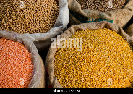 Moong Dhal, Urid Dhal et autres types de lentilles pour la vente sur le marché dans le quartier de Paharganj, New Delhi, Inde, Asie Banque D'Images