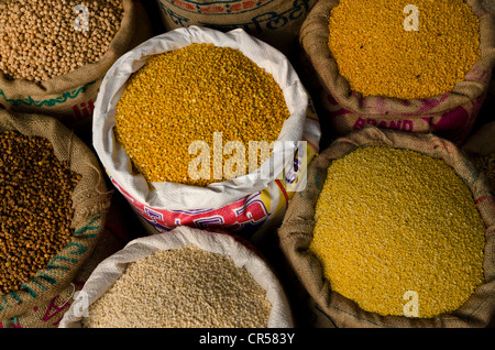 Moong Dhal, Urid Dhal et autres types de lentilles pour la vente sur le marché dans le quartier de Paharganj, New Delhi, Inde, Asie Banque D'Images