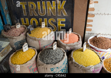 Moong Dhal, Urid Dhal et autres types de lentilles pour la vente sur le marché dans le quartier de Paharganj, New Delhi, Inde, Asie Banque D'Images