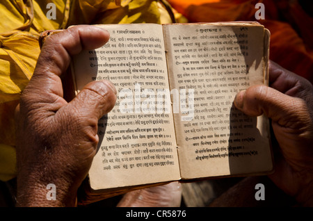 La récitation du Sadhu livres saints le matin, à Sangam, la confluence des rivières saint Ganges, Yamuna et Saraswati Banque D'Images