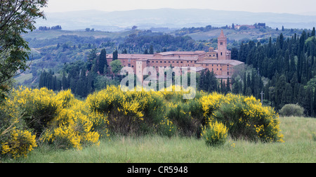 L'Abbaye de Monte Oliveto Maggiore, Toscane, Italie, Europe Banque D'Images