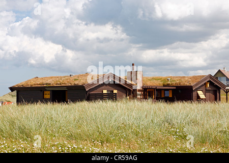 Chalets en bois dans la région de Deauville, Loenstrup, un village de vacances dans le nord-ouest de Jutland, au Danemark, à la rude côte de la mer du Nord. Banque D'Images