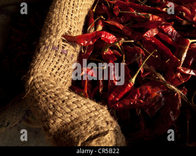 Piments rouges séchés en vente, New Delhi, Inde, Asie Banque D'Images