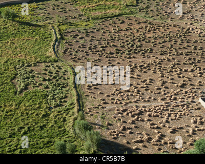 Les terres agricoles irriguées le long du fleuve Indus, vu depuis le toit de Tikse Gompa, Thiksey, Jammu-et-Cachemire, l'Inde, l'Asie Banque D'Images