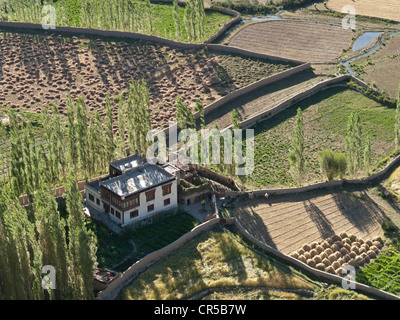 Les terres agricoles irriguées le long du fleuve Indus, vu depuis le toit de Tikse Gompa, Thiksey, Jammu-et-Cachemire, l'Inde, l'Asie Banque D'Images