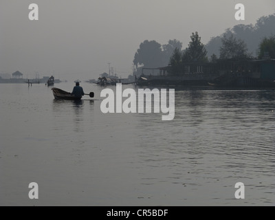 Dal Lake, à Srinagar, Jammu-et-Cachemire, l'Inde, l'Asie Banque D'Images