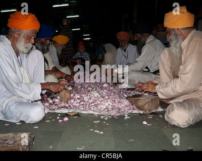 L'alimentation pour tous les pèlerins est préparé par des bénévoles et servi dans la cantine ou langar, Amritsar, Punjab, en Inde, en Asie Banque D'Images