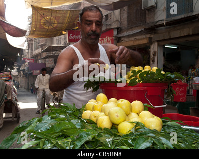 Les citrons sont vendues à partir d'un panier dans les rues de Lahore, Punjab, Pakistan, l'Asie du Sud Banque D'Images