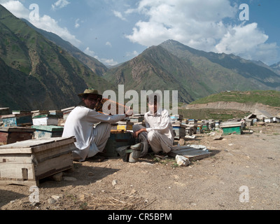 Les sections locales de produire le miel la façon traditionnelle, dans la zone au sud de la frontière du nord-ouest, Naran, le Pakistan, l'Asie du Sud Banque D'Images