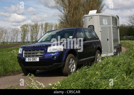 Land Rover Freelander 2 Ifor Williams remorquage remorque pour cheval Banque D'Images