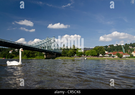 Blaues Wunder pont sur l'Elbe, Loschwitz, Dresde, Saxe, Allemagne, Europe Banque D'Images