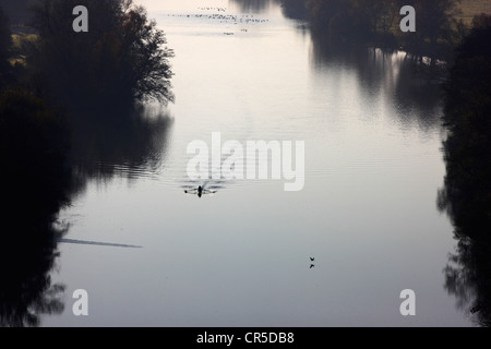 Les rameurs à l'automne sur la Ruhr à Witten, Rhénanie du Nord-Westphalie, Allemagne, Europe. Banque D'Images